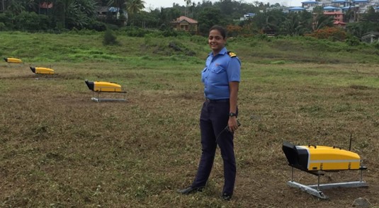 Precision-Approach-Path-Indicator-(PAPI)-Onground